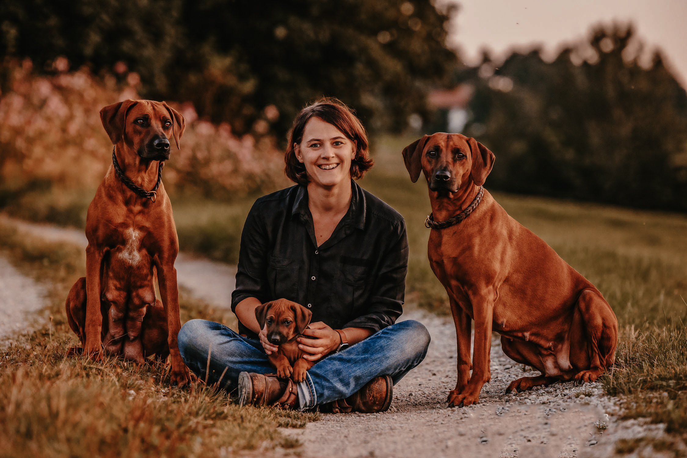 Crying Wolf's Ridgebacks - HOME